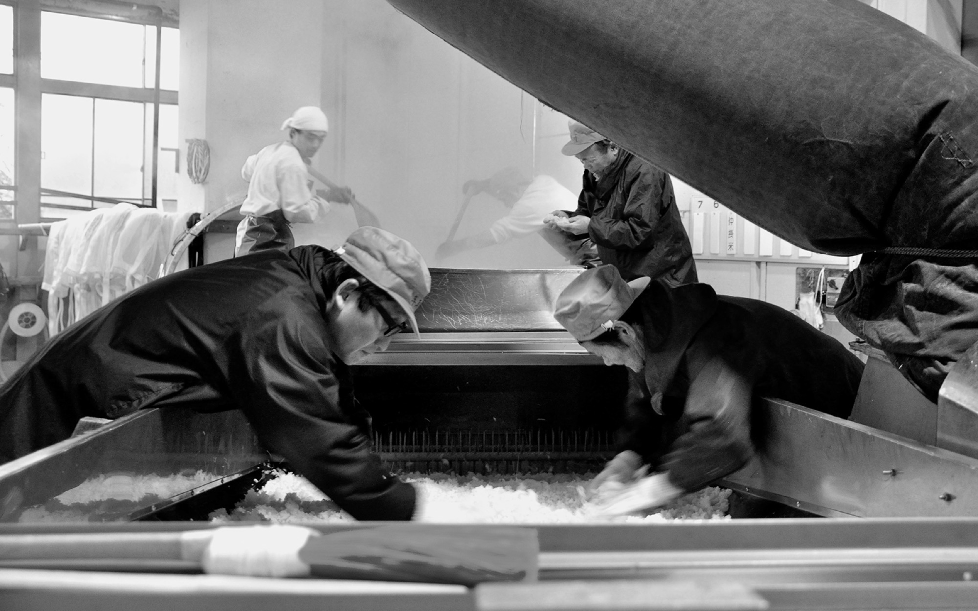 Brewers tending steamed rice inside a sake kura